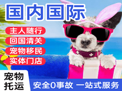 玉树巴塘机场货运国际宠物托运 【国